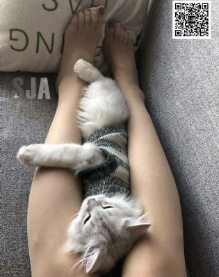 成人不卡在线_剧情片高清免费观看