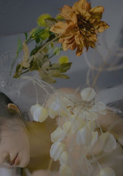 欧美黑色丝袜迅雷种子_HD免费观看韩国