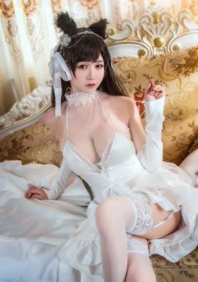 欧美p图app_DVD动漫在线观看